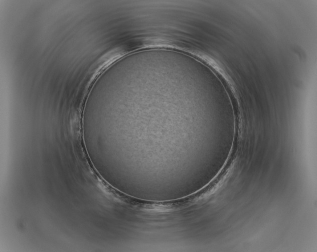 X0000113941145200909251235