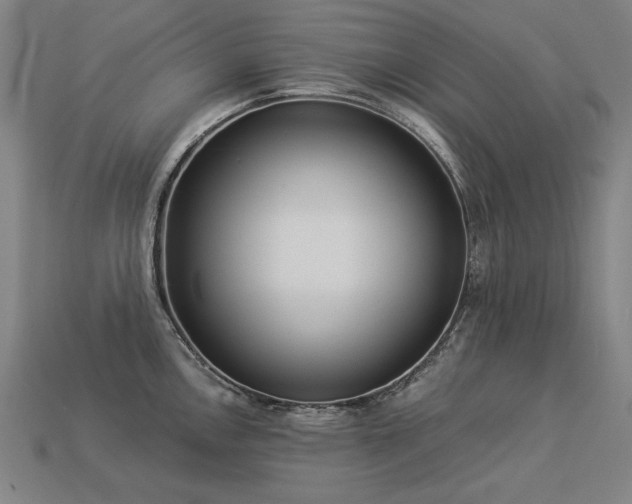 X0000113941146200909251235