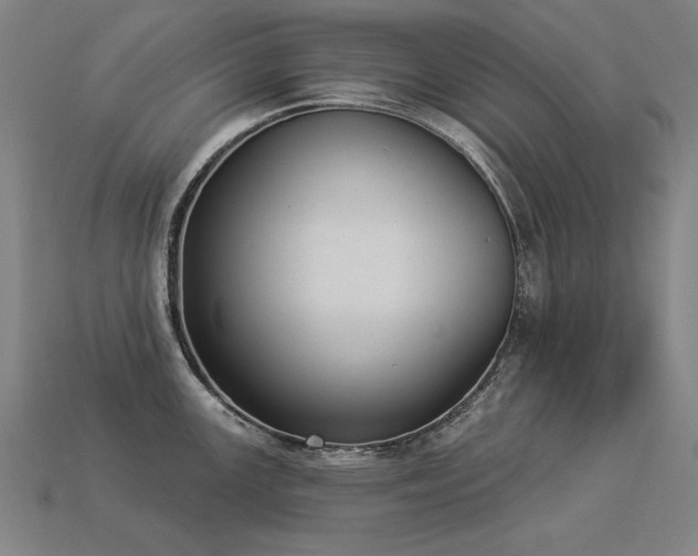 X0000113941147200909251235