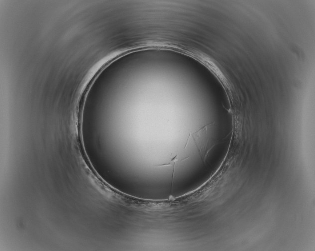 X0000113941148200909251235