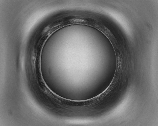 X0000113941151200909251235