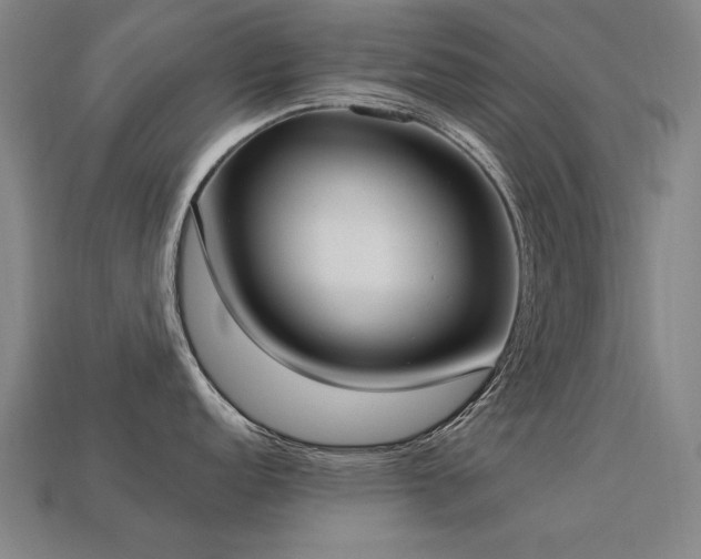 X0000113941152200909251235