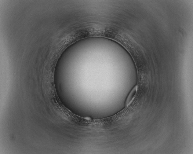 X0000113941153200909251234