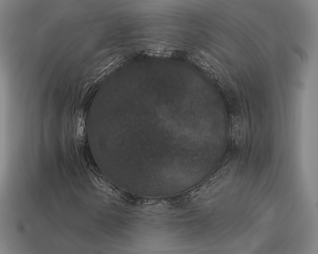 X0000113941154200909251234