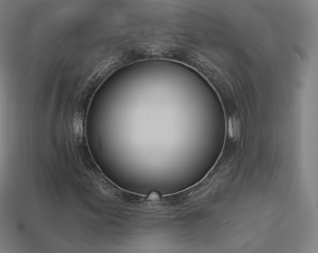 X0000113941155200909251234