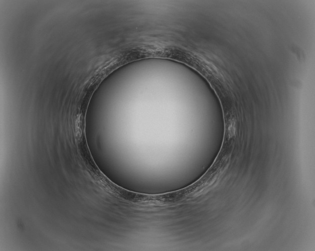 X0000113941156200909251234
