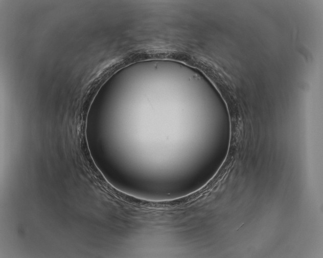 X0000113941157200909251234