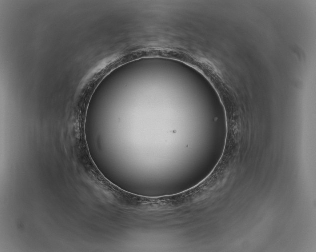 X0000113941159200909251234