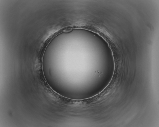 X0000113941160200909251234