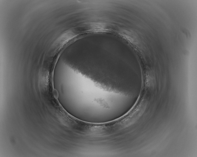 X0000113941161200909251234