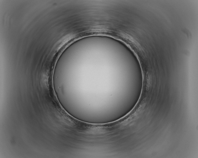 X0000113941162200909251234