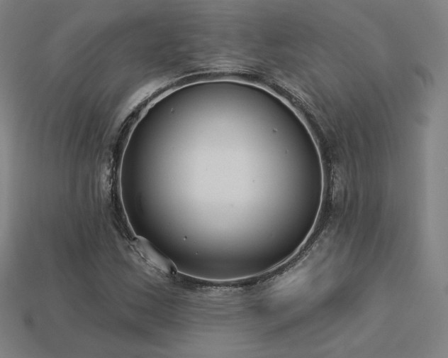 X0000113941163200909251234