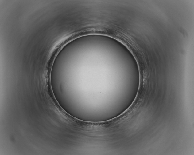 X0000113941164200909251234