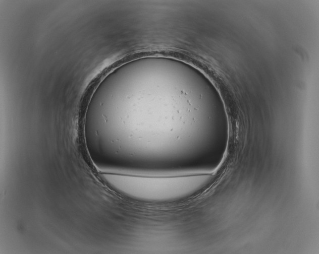 X0000113941165200909251234