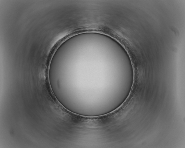 X0000113941166200909251234