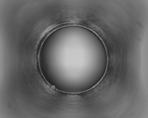 X0000113941168200909251234