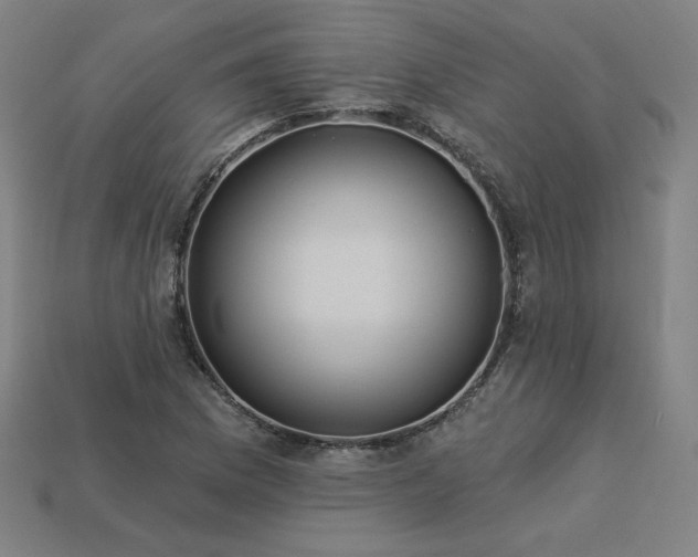 X0000113941169200909251234