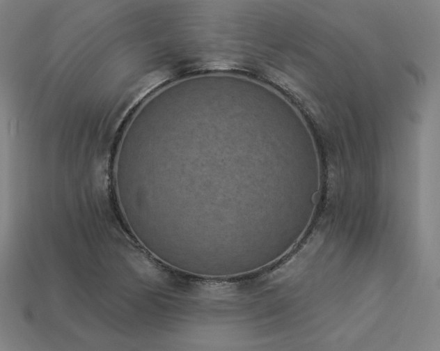 X0000113941170200909251234