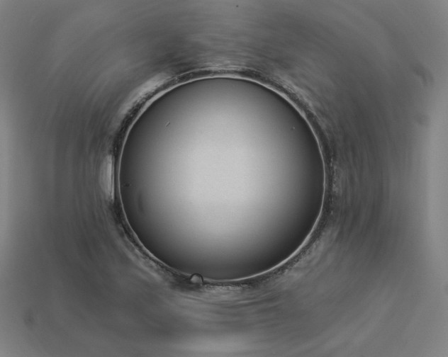 X0000113941171200909251234