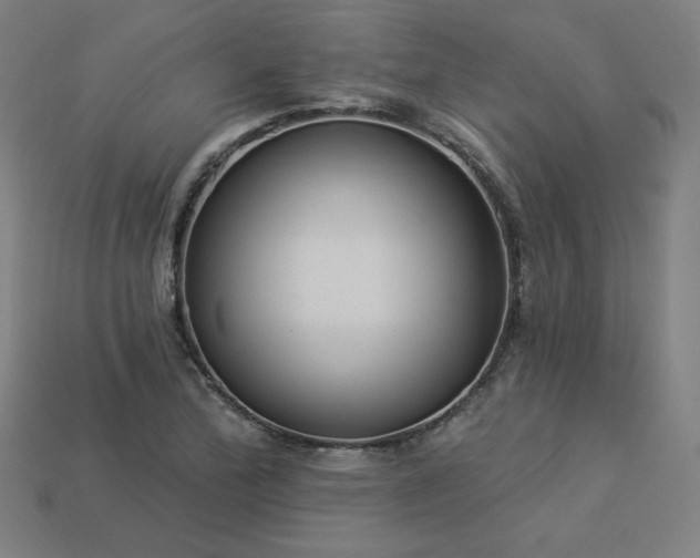 X0000113941172200909251234