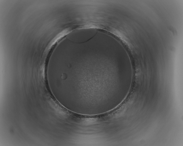 X0000113941173200909251234