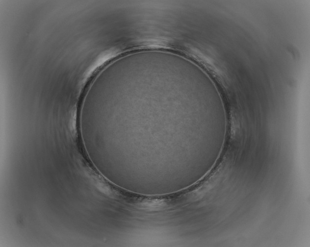 X0000113941174200909251234