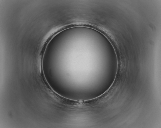 X0000113941175200909251234