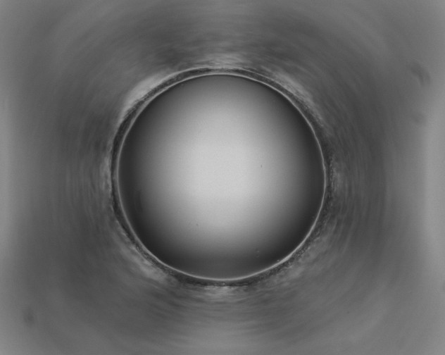 X0000113941176200909251234