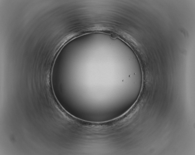 X0000113941177200909251234