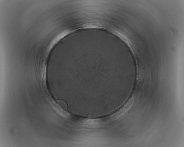 X0000113941179200909251234