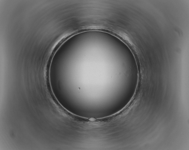 X0000113941181200909251234