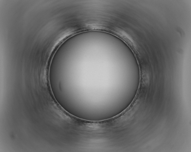 X0000113941182200909251234
