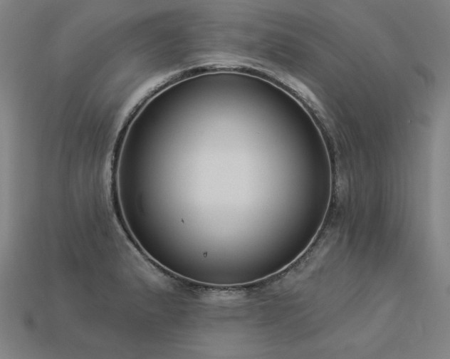 X0000113941183200909251234