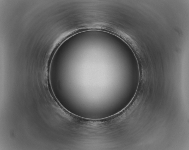 X0000113941184200909251234