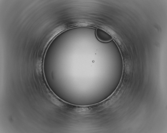 X0000113941186200909251234