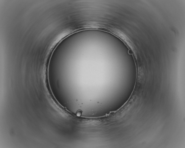 X0000113941187200909251234