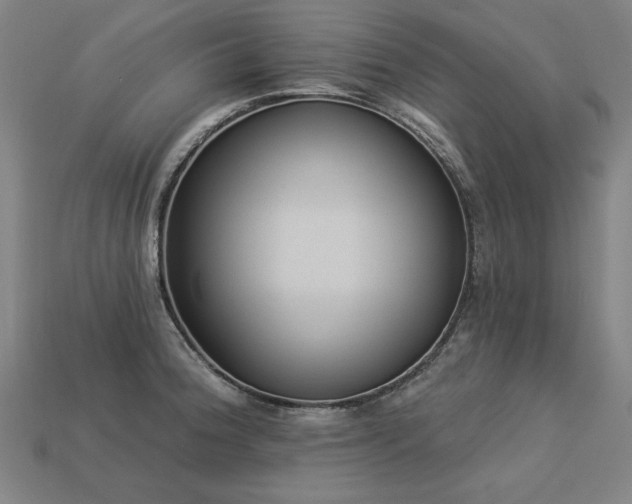 X0000113941188200909251234