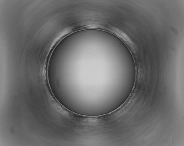 X0000113941190200909251234