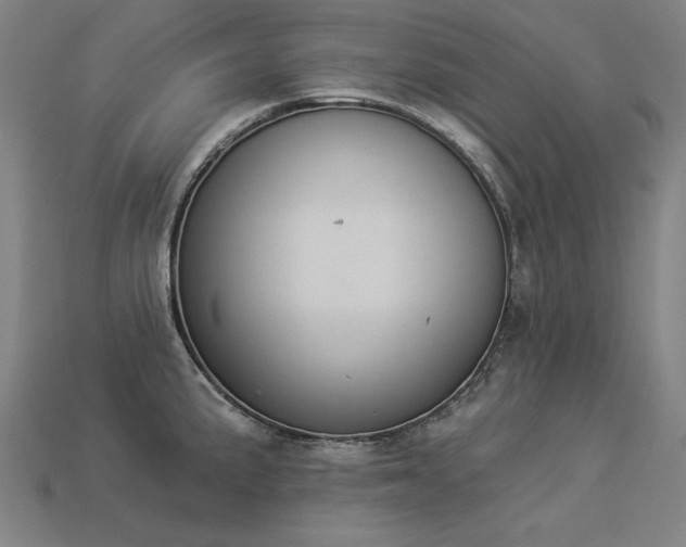 X0000113941191200909251234