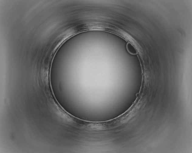 X0000113941194200909251234