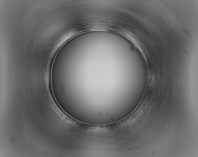 X0000113941195200909251234