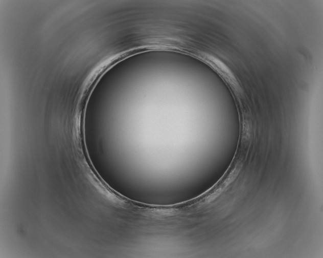 X0000113941196200909251234
