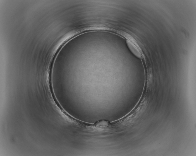 X0000113941197200909251234
