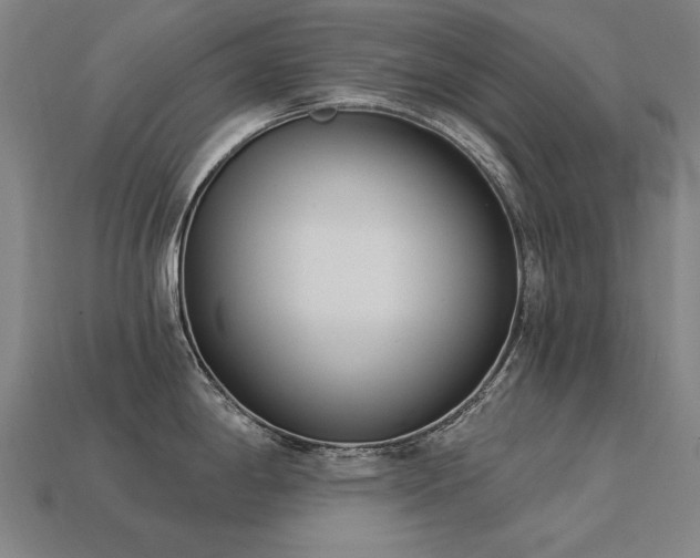 X0000113941198200909251234