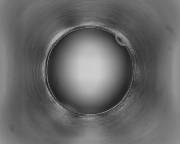X0000113941199200909251234