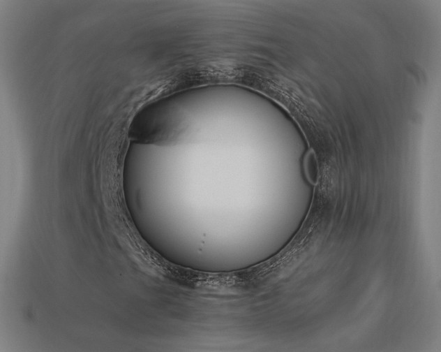 X0000113941201200909251233