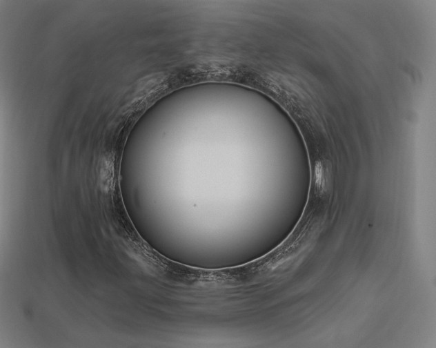 X0000113941203200909251233