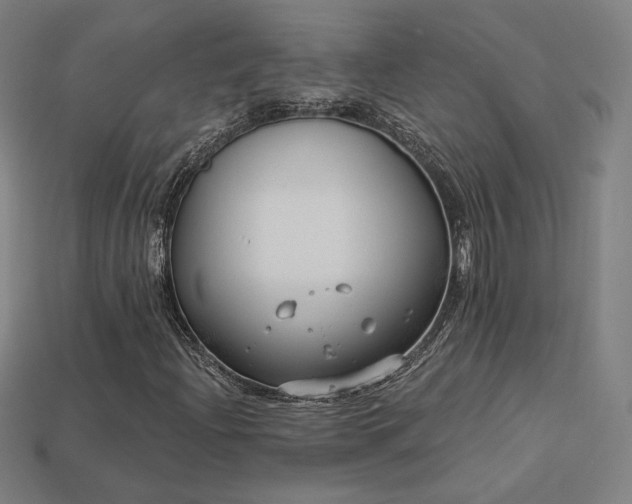 X0000113941204200909251233