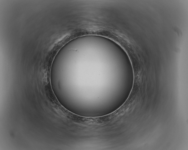 X0000113941205200909251233
