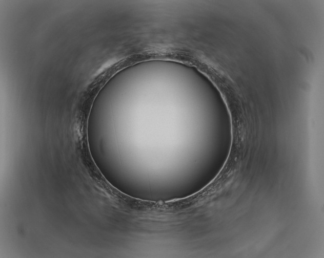 X0000113941206200909251233